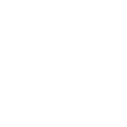 Sello oficial de Excelencia Académica Mineduc